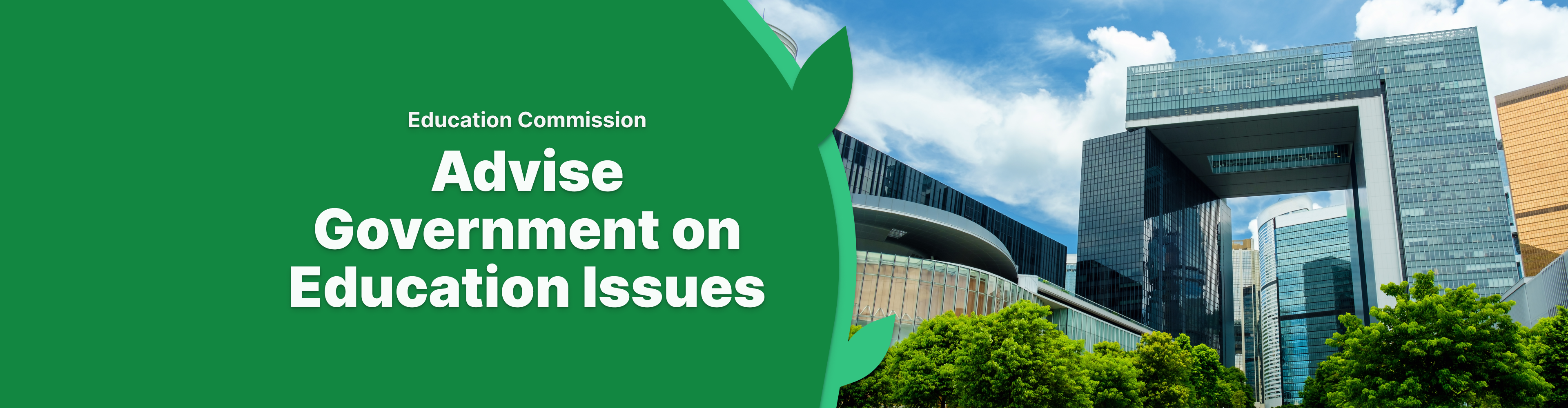 Advise Gov on Edu Issue