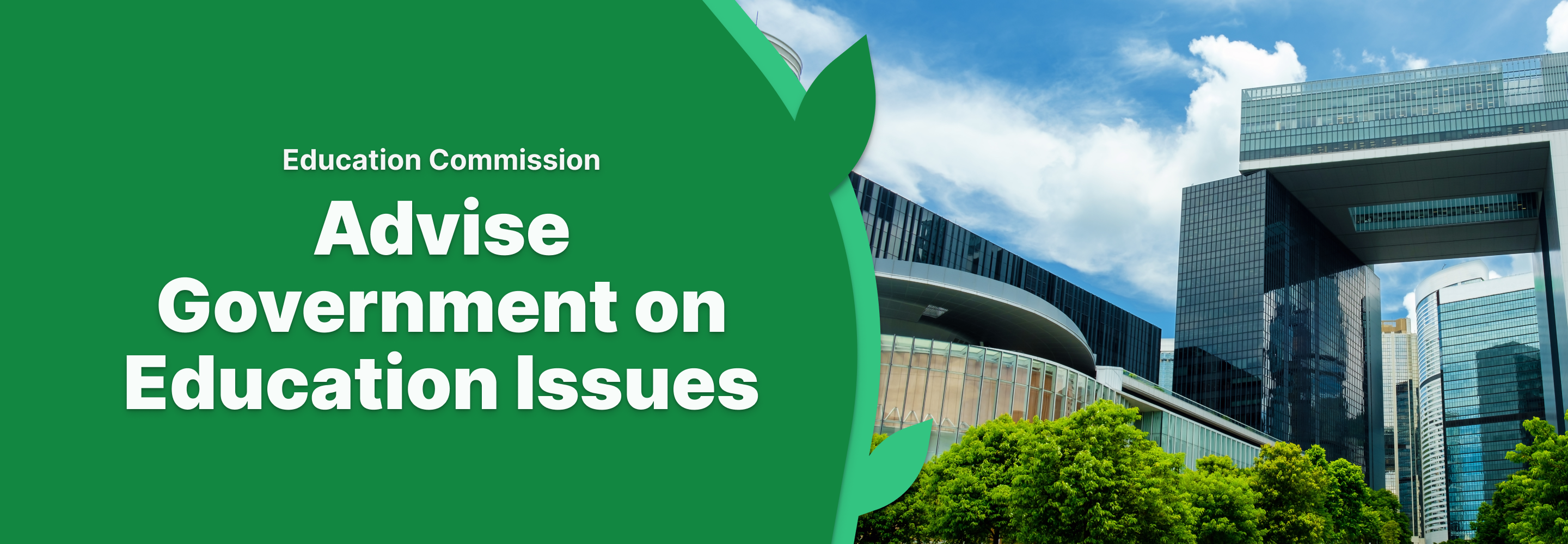 Advise Gov on Edu Issue